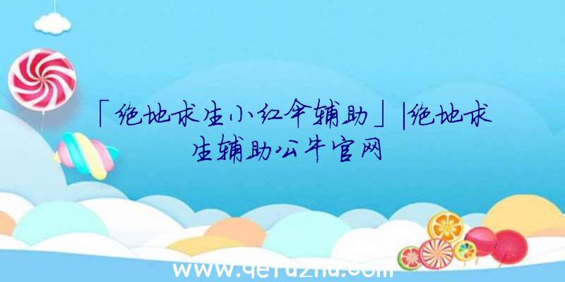 「绝地求生小红伞辅助」|绝地求生辅助公牛官网